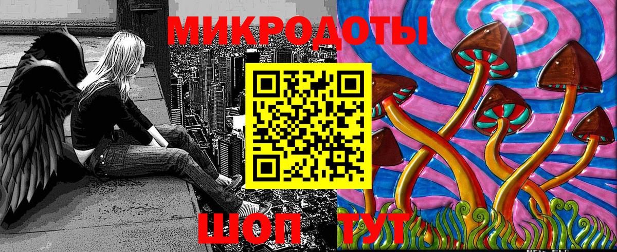 Санкт-Петербург  Псилоцибиновые грибы Cubensis  Вход с VPN 
