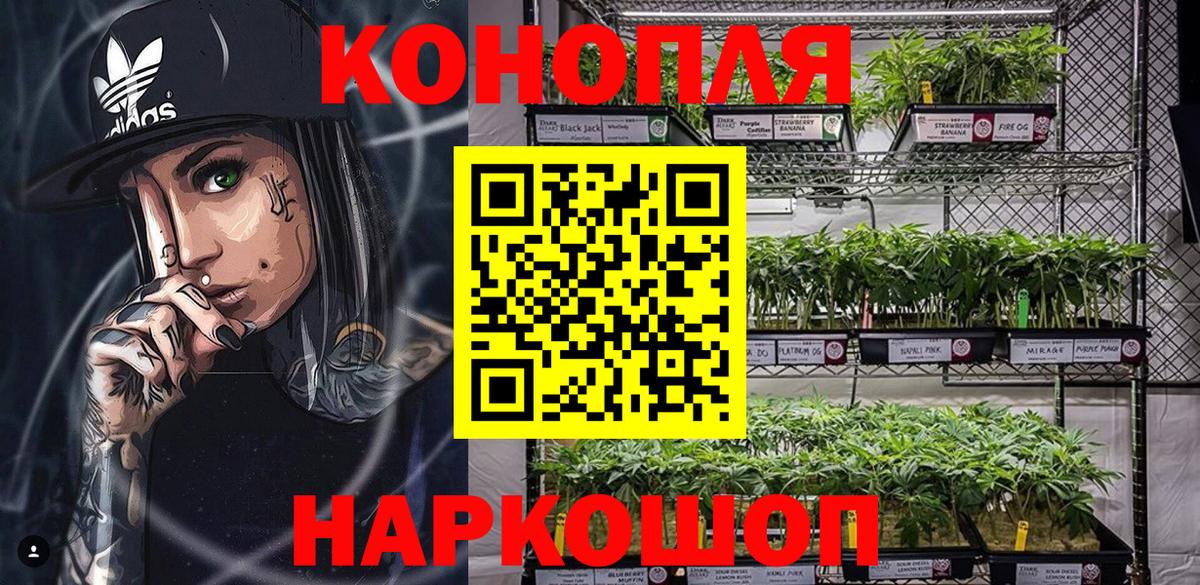 Канабис конопля  Каннабис AK-47  Вход с VPN  Бошки марихуана сатива  Санкт-Петербург 